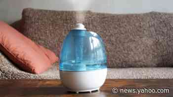 The CDC recommends humidifiers to ease coronavirus symptoms—these are the best ones