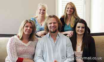 Sister Wives' Kody Brown says 'normal life has ceased' for him and his four spoouses amid quarantine