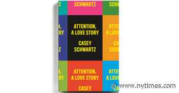 Can Drugs Help Us Focus? Casey Schwartz, You Better Watch Your Speed