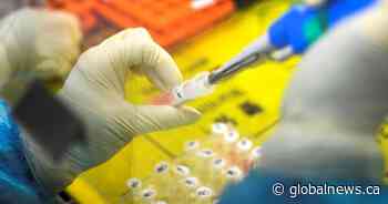 7 new coronavirus cases reported in Saskatchewan, total rises to 260