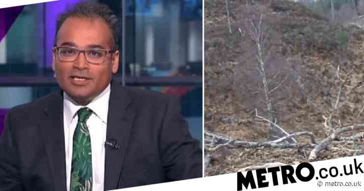 Channel 4 News viewers in hysterics as show ends with livestream of empty bird nest: ‘It’s still a nice picture’