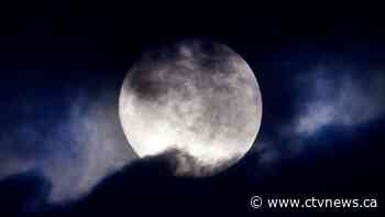 This is how to see the largest 'pink' supermoon of the year