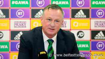 Irish FA chief: Michael O'Neill is the best man to lead Northern Ireland into Euro play-off