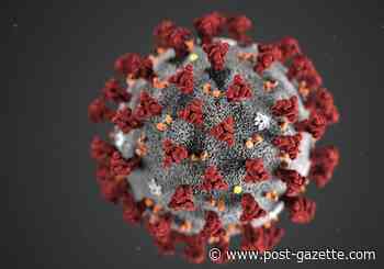 Region's infection pace slower than state's