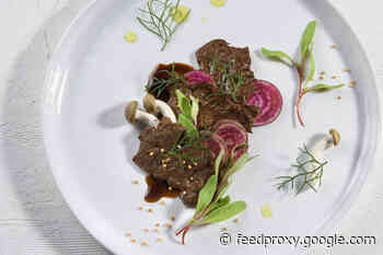 Lab-Grown Meat Climbs to New Heights on Scaffolds of Soy