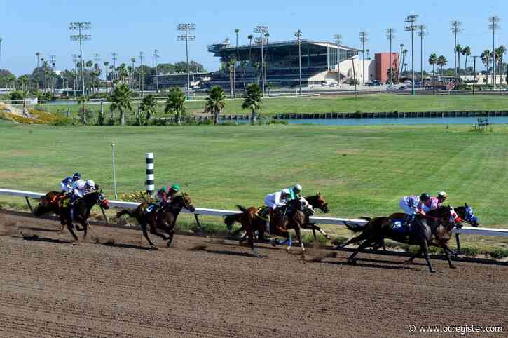 Racehorse dies while training at Los Alamitos; 2-year-old had never raced