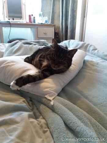 Thank you for all the help, tilly...