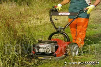 Quattro società sportive chiamate allo sfalcio dell'erba in frazione ad Adria. Compenso da stabilirsi in seguito - RovigoOggi.it