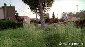 Santarcangelo, rivisto il programma del taglio dell’erba nei parchi e nei giardini - AltaRimini