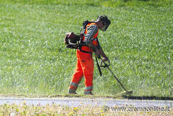 Crema. Sfalcio dell'erba, al via la raccolta porta a porta - Crem@ on line