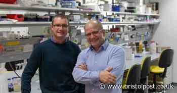 Vaccine tests to begin in Bristol within weeks after breakthrough