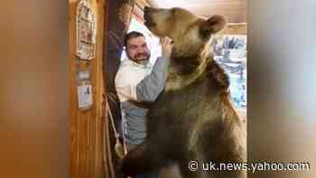 Big ole bear wants a hug from his best friend