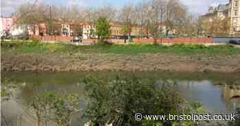 Plans for 96-metre long jetty on the New Cut thrown out