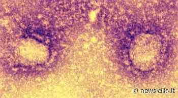 Coronavirus ad Aci Catena, in diminuzione il numero di persone in quarantena - NewSicilia