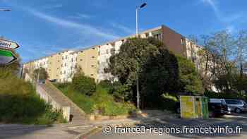 Coronavirus Montpellier : le confinement en appartement met les familles nombreuses à rude épreuve - France 3 Régions