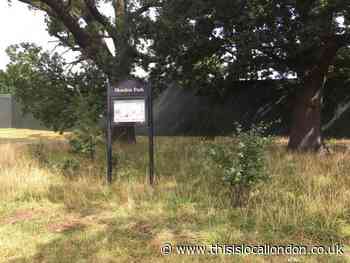 Merton parks remain open amid coronavirus outbreak