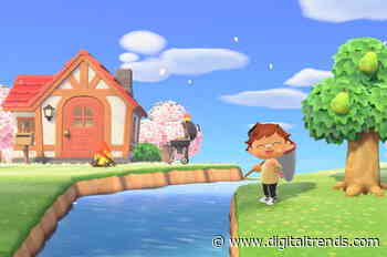 How to upgrade your Animal Crossing inventory size and tools