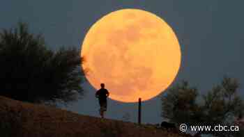 Canadians bite back at loneliness of isolation by howling at the moon