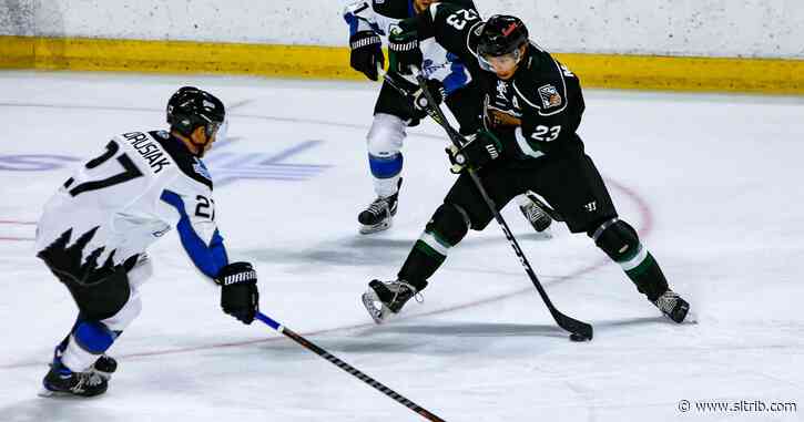 The Utah Grizzlies had their hockey season cut short by COVID-19; for some players, it might have been a career-ender
