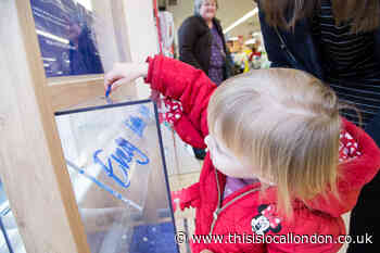 Tesco offers £500 grants to charity groups in Sutton