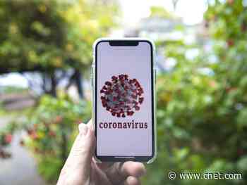 Location data used for tracking COVID-19 has its limits, ACLU warns     - CNET