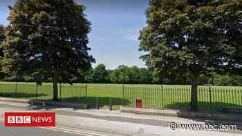Girl, seven, stabbed to death by stranger in park - BBC News