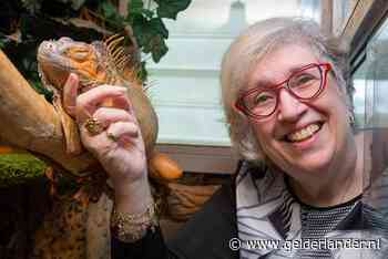 Donny's leguaan Oxi heeft een voorkeur voor luxe sla