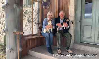 Stunning new photo released of Prince Charles and Camilla to mark 15th wedding anniversary 