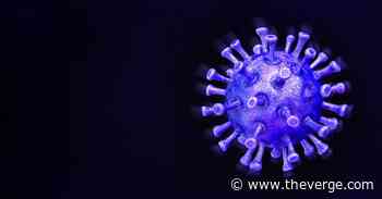 America set up black communities to be harder hit by COVID-19