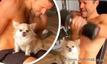 Mark Wright works out shirtless while his pet Chihuahua sits on his lap