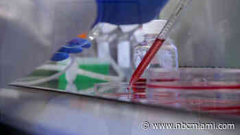 South Florida Company Creates Rapid Antibody Test for COVID-19