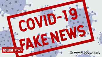 Coronavirus: Call for apps to get fake Covid-19 news button