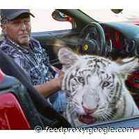 ‘Tiger King’, The Most Watched TV Show In The U.S., Is An Ethical And Moral Dumpster Fire