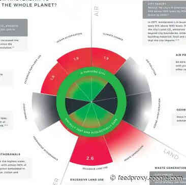 Amsterdam Embraces A New Model For Its Post-COVID Life