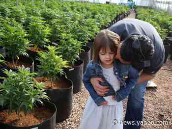 Charlotte Figi, the girl who spurred a cannabis movement that changed laws across the world, dies at 13 after being treated as 'a likely COVID-19 case'