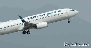 Coronavirus: WestJet to rehire nearly 6,400 workers through federal wage subsidy