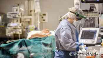 Corona und die Wirtschaft: Was darf ein Leben kosten? - DER SPIEGEL