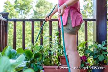 Pre-Pregnancy Phthalates Exposure: Still a Threat to Offspring?