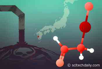 “Dancing Cat Fever” – New Culprit Identified for Minamata Mercury Poisoning Tragedy