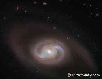 The Lord of the Rings