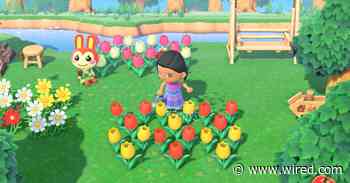 I Am Not At All Relaxed by 'Animal Crossing: New Horizons'