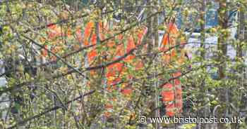 Network Rail workers caught defying government rules