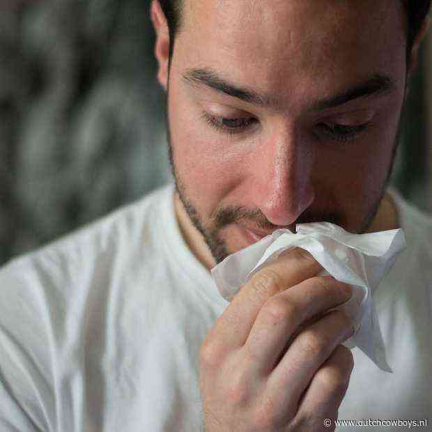 Hooikoortsklachten? 5 tips die je nog niet kent!