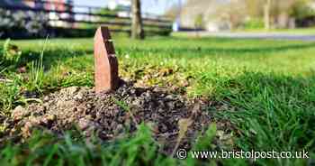 Veterans heartbroken after plaques and wreath thrown into river