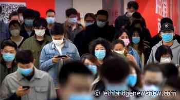 16.8M Americans thrown out of work as economic toll rises - Lethbridge News Now