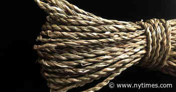 Early String Ties Us to Neanderthals