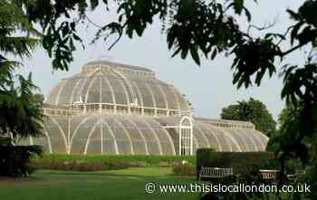 'The last thing I ever thought I would do': Kew Gardens director on temporary closure