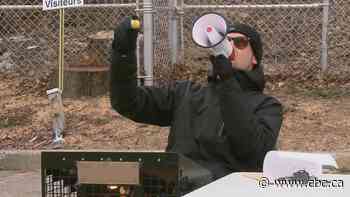 Some good news from around the world on Thursday