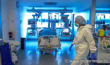 Het coronanieuws van donderdag 9 april: bijlezen in één minuut