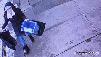 Arson charge laid, police seek second suspect in south Edmonton restaurant fire